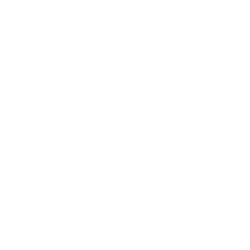 Storti